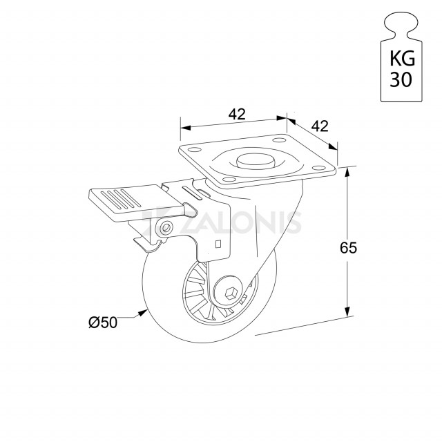 ΔΙΑΚΟΣΜΗΤΙΚΗ ΡΟΔΑ ΕΠΙΠΛΩΝ ΔΙΑΦΑΝΗ, ΜΕ ΦΡΕΝΟ 305 Φ.50 / Υ.65 / 30KG