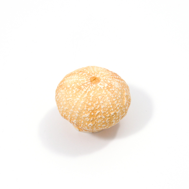 ΠΟΜΟΛΑΚΙ ΚΟΡΑΛΙ 50mm