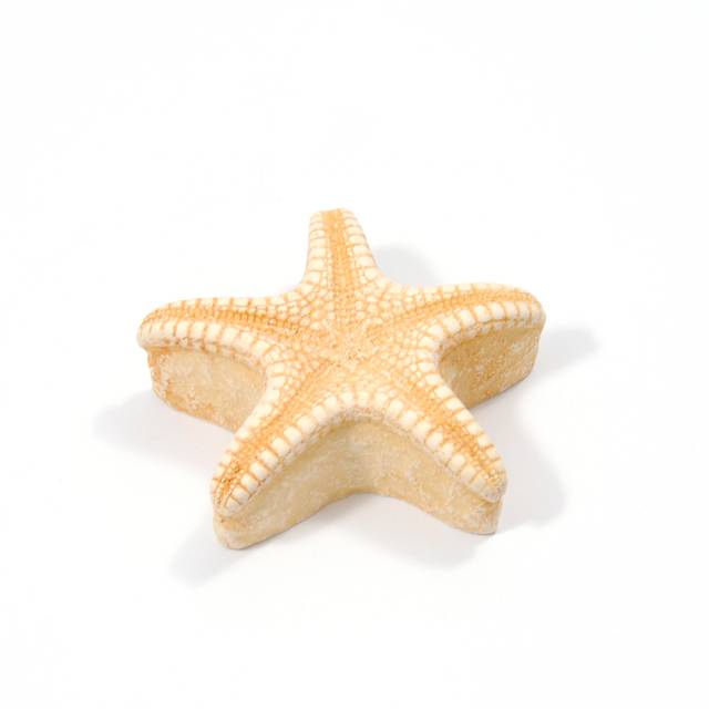 ΠΟΜΟΛΑΚΙ ΑΣΤΕΡΙΑΣ