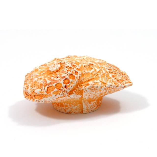 ΠΟΜΟΛΑΚΙ ΚΟΧΥΛΙ ΜΕΓΑΛΟ