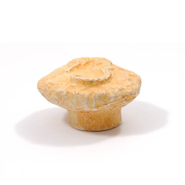 ΠΟΜΟΛΑΚΙ ΑΛΟΓΑΚΙ ΤΗΣ ΘΑΛΑΣΣΑΣ