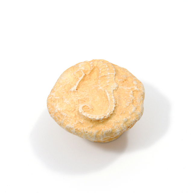 ΠΟΜΟΛΑΚΙ ΑΛΟΓΑΚΙ ΤΗΣ ΘΑΛΑΣΣΑΣ